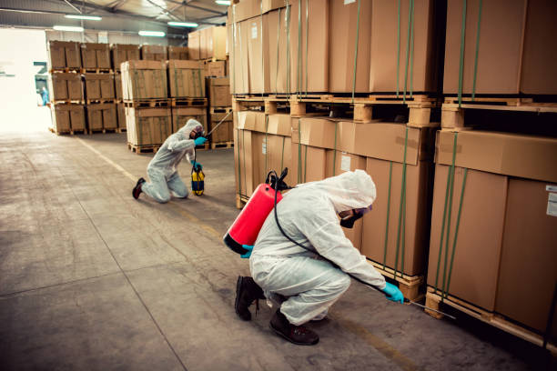 Best Ant Control Services  in Ford City, CA