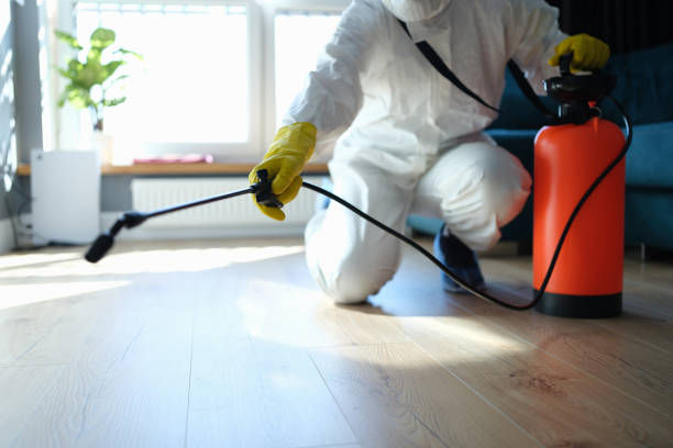 Insect Control in Ford City, CA