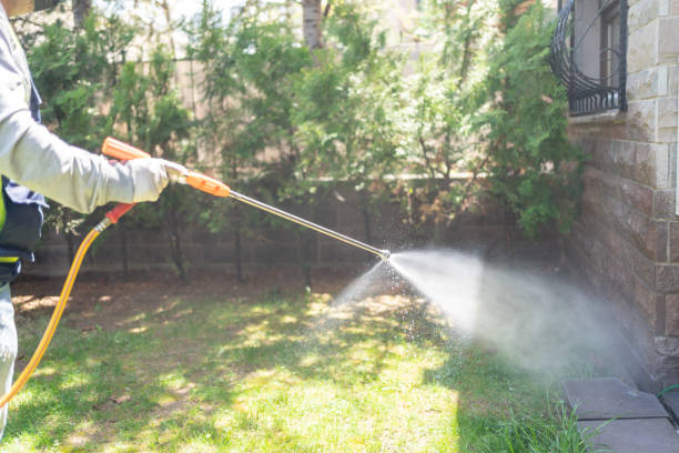 Best Wildlife Control Services  in Ford City, CA