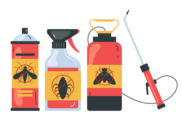 Best Termite Control Services  in Ford City, CA