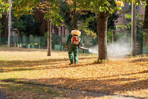 Best Pest Removal Services  in Ford City, CA
