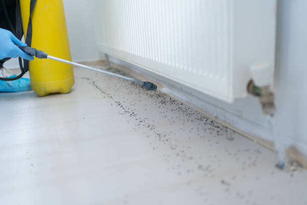 Best Emergency Pest Control  in Ford City, CA